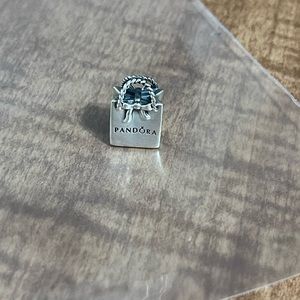 Pandora Shopping Bag Charm